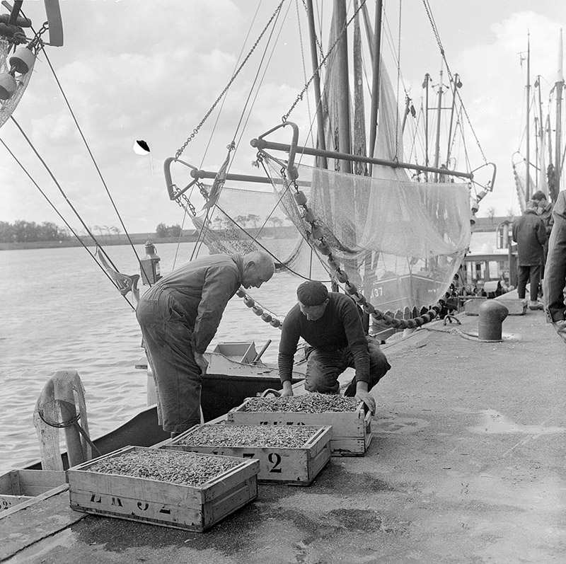 Zoutkamper vissers in hun thuishaven vlak voor de afsluiting, 1969